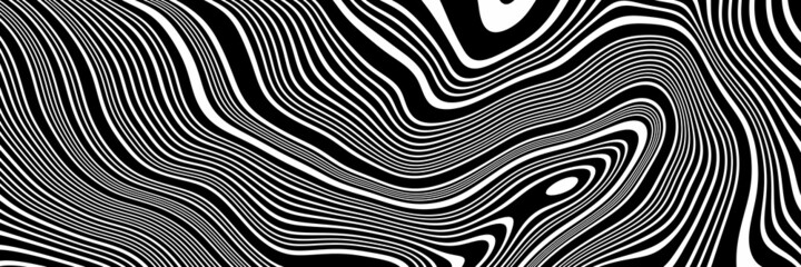 Abstract topographic contour. Black and white terrain.