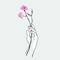 hand with blooming twig, cherry blossoms, sakura, vector illustration for card