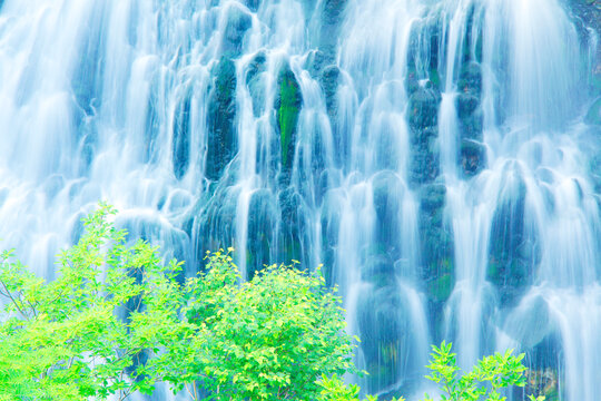 新緑の白髭の滝, 美瑛町,上川郡,北海道