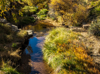 Autumn Colors on the Santa Fe River