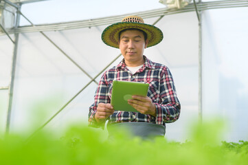 Happy male farmer working using tablet in hydroponic greenhouse farm, clean food and healthy eating concept