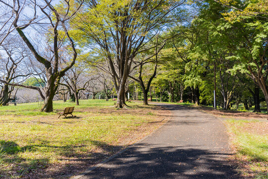 5 718 Best Bullets Falling Images Stock Photos Vectors Adobe Stock