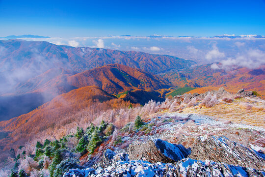 新雪の王ヶ鼻の岩稜と紅葉のカラマツ林と穂高連峰などの山並み, 日本,長野県,松本市