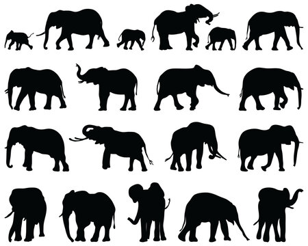 Black silhouettes of elephants on a white background	