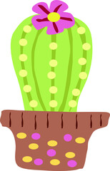 cactus with a flower in a beautiful pot.vector drawing,isolate on a white background