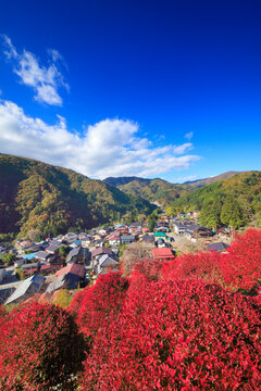 観音山公園のドウダンツツジの紅葉と清内路の街並, 日本,長野県,下伊那郡,阿智村