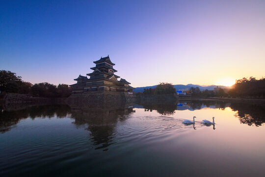 松本城と白鳥のペアと昇る朝日, 日本,長野県,松本市