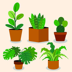 set flat art green plant in pots 