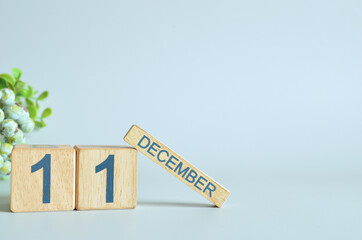 December 11, Calendar cover design with number cube with green fruit on blue background.

