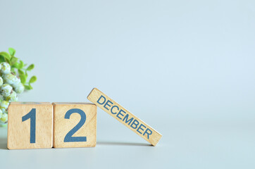 December 12, Calendar cover design with number cube with green fruit on blue background.

