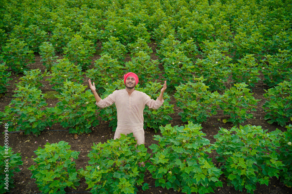 Sticker Young indian farmer at green agriculture field.