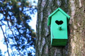 Bird house in the garden.