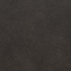 Fototapeta premium Genuine shark skin. Textured shark skin background close-up. 3D-rendering