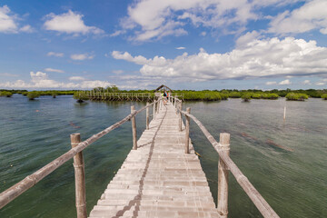 A small dock or walkway made of bamboo connecting to a mangrove island. At Cabgan Island in Tubigon, Bohol, Philippines.