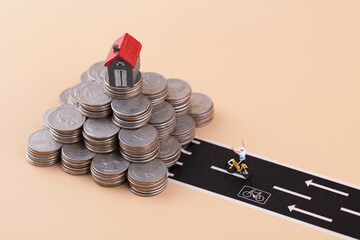 Miniature creativity strives to chase high-priced houses