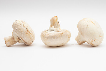 Fresh champignon mushrooms on white background