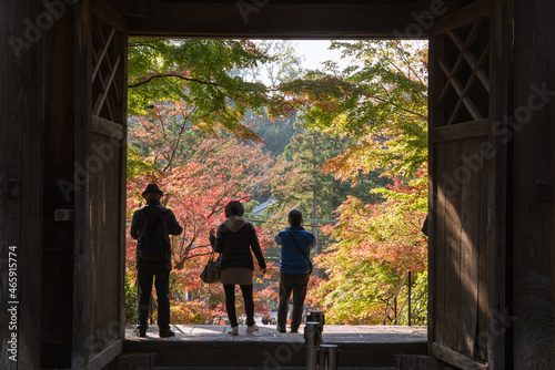 Autumn Japanese Maple Trees Framed By Engakuji Temple Gate And Tourists In Kamakura Japan 秋の鎌倉 円覚寺の総門と紅葉したもみじ 観光客のシルエット Abbey Poster Abb Wooooooojpn