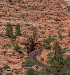 road winding through desert