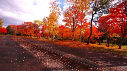 Obraz premium 赤く染まった北海道開拓の村