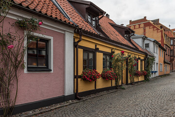 colorful picturesque townhouses with roses in Ystad