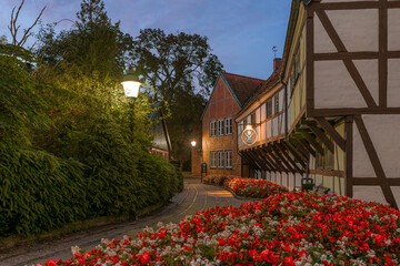 pavement filled with red flowers besida a half-timberd house in Ystad