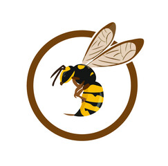 Wasp logo in a cicrle, circular logo, icon sting, Illustration with wasp ready to sting