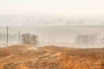 foggy dirty road. misty morning in the woods. silhouette of trees and rural road in morning fog. pale color wood obscure forest air. Atmospheric autumn landscape