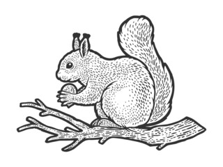 squirrel with nut on branch sketch engraving vector illustration. T-shirt apparel print design. Scratch board imitation. Black and white hand drawn image.