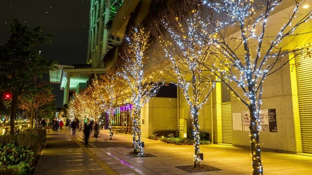 街路樹　ライトアップ　合成　東京　降雪　夜景　パーティクル　CG　モーショングラフィックス
