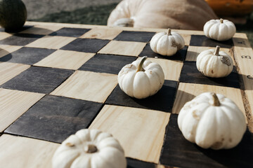 Small white Halloween pumpkins as garden decoration on a classic wood chess or checkers board. Halloween and Thanksgiving natural DIY ideas for home and celebration concept. Close up, copy space
