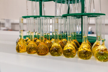 Closeup a long row of glass flasks with a yellow solution on a laboratory bench. Increase the intensity of yellow in a row. Сoncept of scientific, pharmaceutical, industrial, industrial laboratory