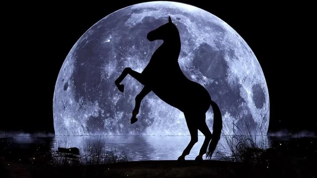 Unicorn. Black silhouette. 4K. Horse gearing up near the sea shore with full moon in the background.