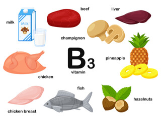 Rectangular poster with food products containing vitamin B3. Niacin. Medicine, diet, healthy eating, infographics. Products with the name.Flat cartoon food illustration isolated on a white background.