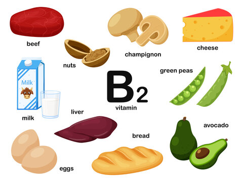 Rectangular poster with food products containing vitamin B2. Riboflavin. Medicine, diet, healthy eating, infographics. Products with name.Flat cartoon food illustration isolated on a white background.