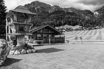 Summer mountain landscapes. Glimpses of poetry. Black and white.