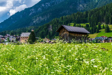 Summer mountain landscapes. Glimpses of poetry.
