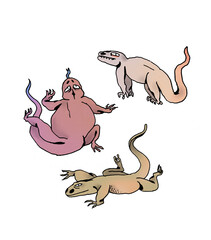 set of illustration of lizard color