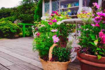 店先に飾られた、美しい秋の寄せ植え