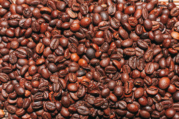 Fototapeta premium natural coffee brown mocha beans caffeine pattern