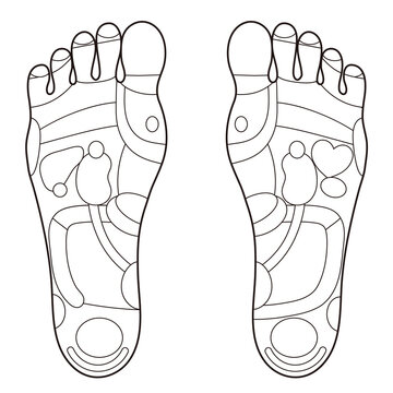 1 185 Best 足裏 Images Stock Photos Vectors Adobe Stock