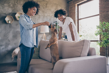 Profile side photo of young cheerful african couple happy positive smile feed dog pet best friend...