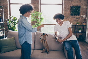 Photo portrait young couple smiling wearing casual jeans feeding little puppy on sofa