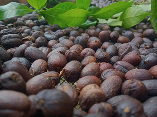 Close up natural arabica coffee Beans