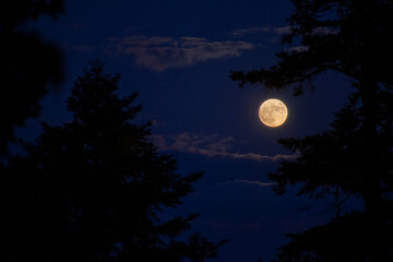full moon over the sky
