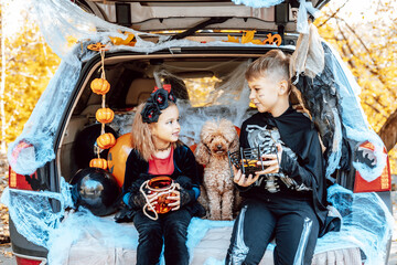 siblings boy in skeleton costume, cute little girl in spooky costume and cute poodle dog in ghost costume sits in trunk car decorated for Halloween with web, orange balloons and pumpkins, outdoor