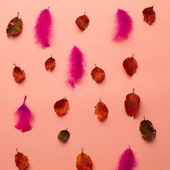 Obraz premium Falling leaves and feathers. Minimal concept with autumn elements on a pastel pink background.