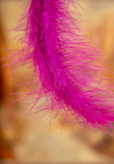 Falling feather on an autumn background..Minimal autumn concept.