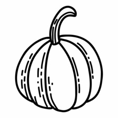Pumpkin in hand drawn doodle style. Linear autumn vector illustration