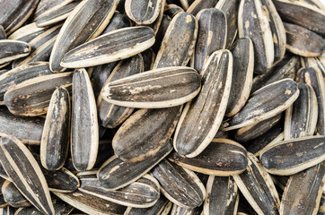 roasted peeled sunflower seeds texture background