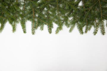Obraz premium christmas tree branches on the white